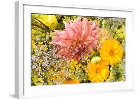 Summer Bouquet I-Maureen Love-Framed Photographic Print