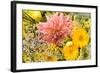 Summer Bouquet I-Maureen Love-Framed Photographic Print