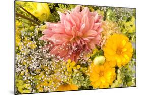 Summer Bouquet I-Maureen Love-Mounted Photographic Print