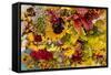 Summer Bouquet II-Maureen Love-Framed Stretched Canvas