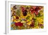 Summer Bouquet II-Maureen Love-Framed Photographic Print