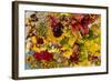 Summer Bouquet II-Maureen Love-Framed Photographic Print