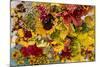 Summer Bouquet II-Maureen Love-Mounted Photographic Print