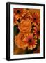 Summer Bouquet III-Maureen Love-Framed Photographic Print