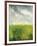 Summer Breeze - Field-Bill Philip-Framed Giclee Print