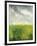 Summer Breeze - Field-Bill Philip-Framed Giclee Print