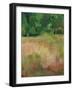 Summer Breeze - Forest-Bill Philip-Framed Giclee Print