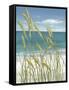 Summer Breeze I-Tim O'toole-Framed Stretched Canvas