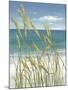 Summer Breeze I-Tim O'toole-Mounted Art Print