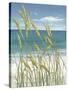 Summer Breeze I-Tim O'toole-Stretched Canvas