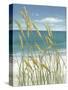 Summer Breeze I-Tim O'toole-Stretched Canvas