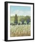 Summer Breeze I-Tim OToole-Framed Art Print