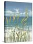 Summer Breeze II-Tim O'toole-Stretched Canvas