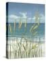 Summer Breeze II-Tim O'toole-Stretched Canvas