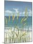 Summer Breeze II-Tim O'toole-Mounted Art Print