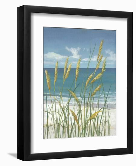 Summer Breeze II-Tim OToole-Framed Art Print