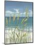 Summer Breeze II-Tim OToole-Mounted Art Print