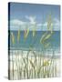 Summer Breeze II-Tim OToole-Stretched Canvas