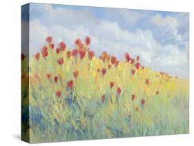 Summer Breeze Meadow I-Tim O'toole-Stretched Canvas