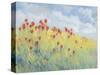 Summer Breeze Meadow I-Tim O'toole-Stretched Canvas