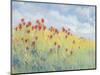 Summer Breeze Meadow I-Tim O'toole-Mounted Art Print