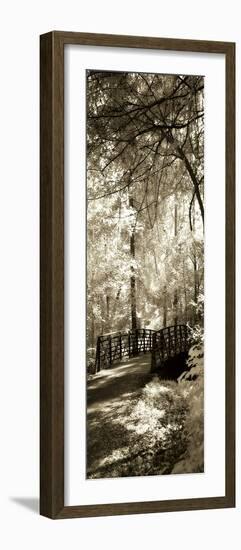 Summer Bridge Panel-Alan Hausenflock-Framed Photographic Print