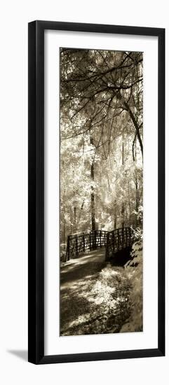 Summer Bridge Panel-Alan Hausenflock-Framed Photographic Print