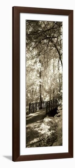 Summer Bridge Panel-Alan Hausenflock-Framed Photographic Print