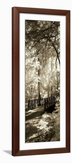 Summer Bridge Panel-Alan Hausenflock-Framed Photographic Print