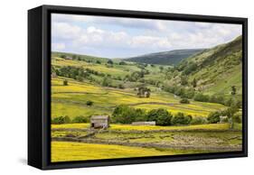 Summer Buttercups in Upper Swaledale Near Thwaite-Mark Sunderland-Framed Stretched Canvas