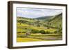 Summer Buttercups in Upper Swaledale Near Thwaite-Mark Sunderland-Framed Photographic Print