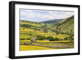 Summer Buttercups in Upper Swaledale Near Thwaite-Mark Sunderland-Framed Photographic Print