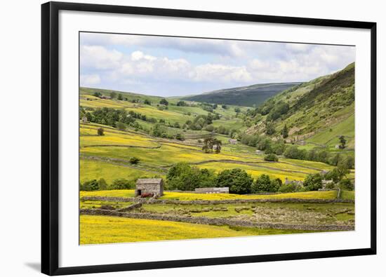 Summer Buttercups in Upper Swaledale Near Thwaite-Mark Sunderland-Framed Photographic Print