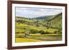 Summer Buttercups in Upper Swaledale Near Thwaite-Mark Sunderland-Framed Photographic Print