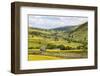 Summer Buttercups in Upper Swaledale Near Thwaite-Mark Sunderland-Framed Photographic Print