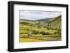 Summer Buttercups in Upper Swaledale Near Thwaite-Mark Sunderland-Framed Photographic Print