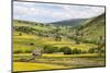 Summer Buttercups in Upper Swaledale Near Thwaite-Mark Sunderland-Mounted Photographic Print