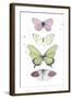 Summer Butterflies II-null-Framed Art Print