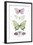 Summer Butterflies II-null-Framed Art Print