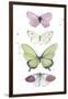 Summer Butterflies II-null-Framed Art Print