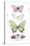 Summer Butterflies II-null-Stretched Canvas