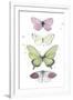 Summer Butterflies II-null-Framed Art Print