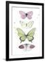 Summer Butterflies II-null-Framed Art Print