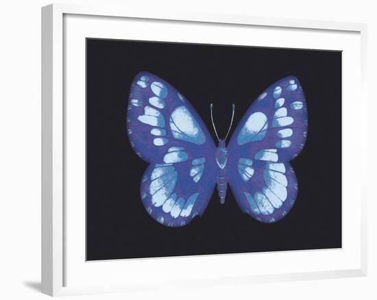 Summer Butterfly I-Sophie Golaz-Framed Giclee Print