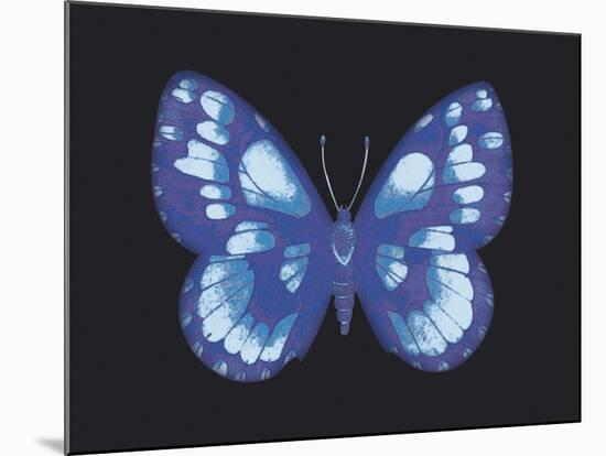 Summer Butterfly I-Sophie Golaz-Mounted Giclee Print