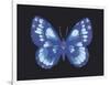 Summer Butterfly I-Sophie Golaz-Framed Giclee Print