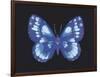 Summer Butterfly I-Sophie Golaz-Framed Giclee Print