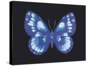 Summer Butterfly I-Sophie Golaz-Stretched Canvas