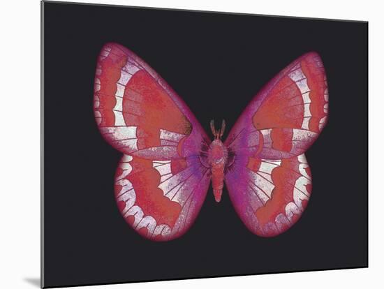 Summer Butterfly II-Sophie Golaz-Mounted Giclee Print