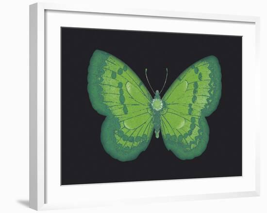 Summer Butterfly III-Sophie Golaz-Framed Giclee Print